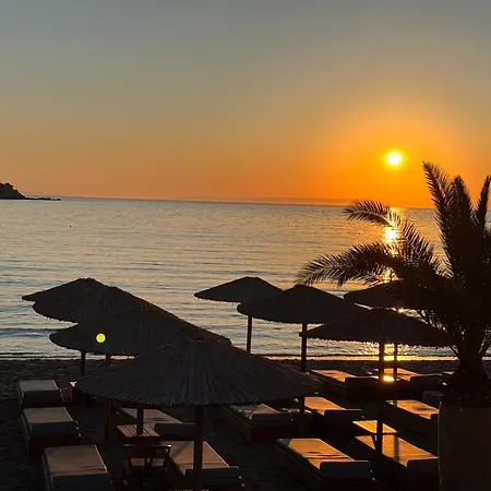 Blue Harmony 3* Kini