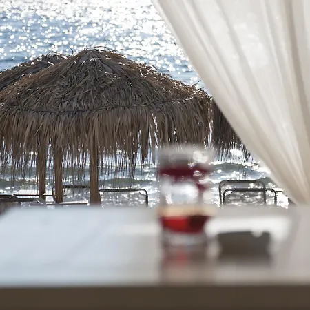 Hotel Blue Harmony 3*